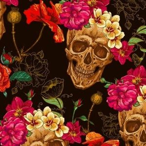 Meet your Posher, Cecili'a